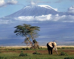 kilimanjaro Tanzanie