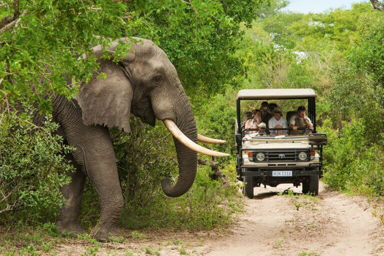 Découvrez les 5 meilleures destinations africaines pour un voyage à budget limité
