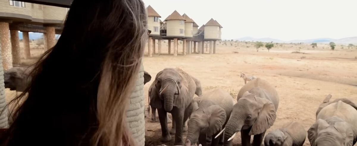 les réserves du Kruger