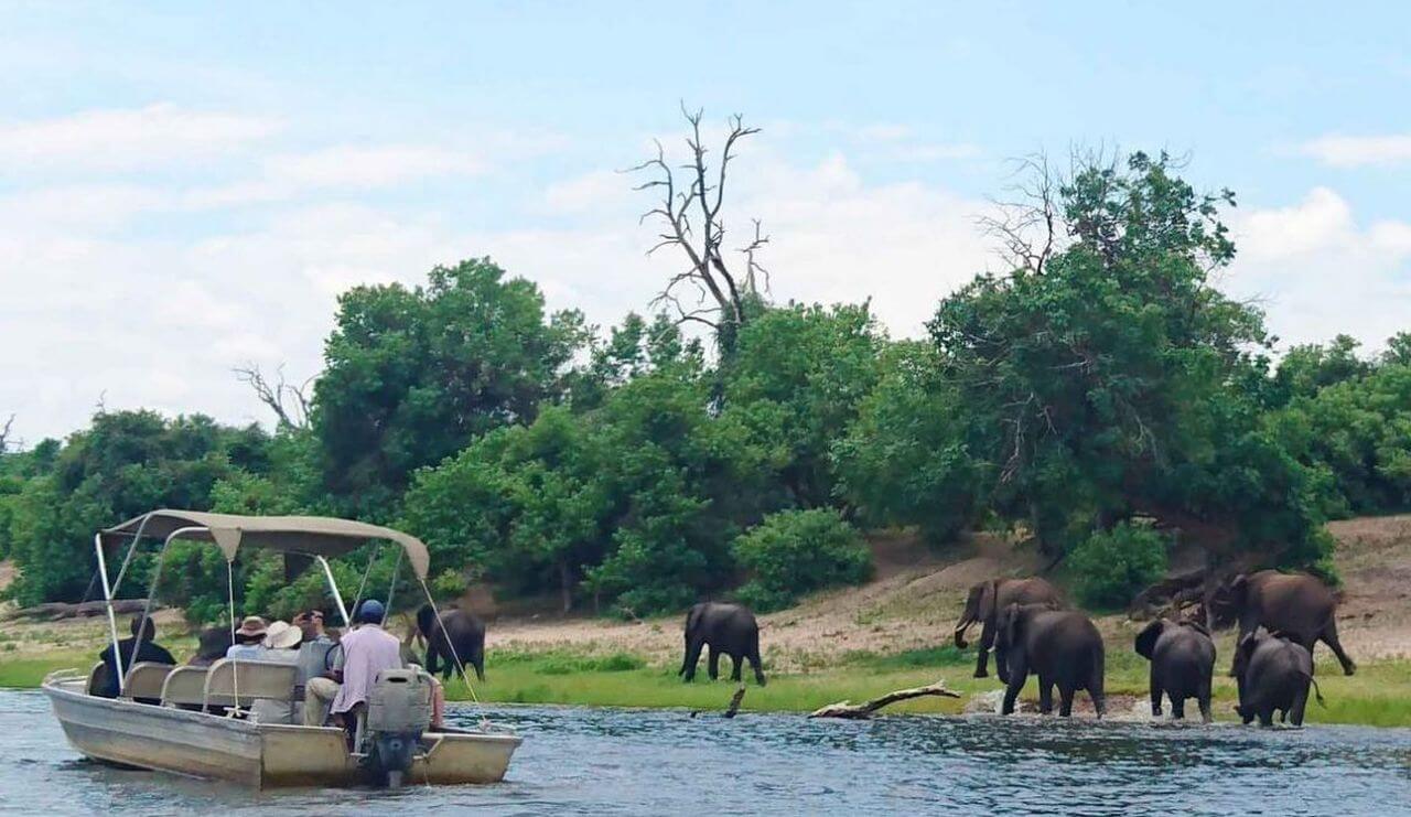 le parc national de Chobe, au Botswana