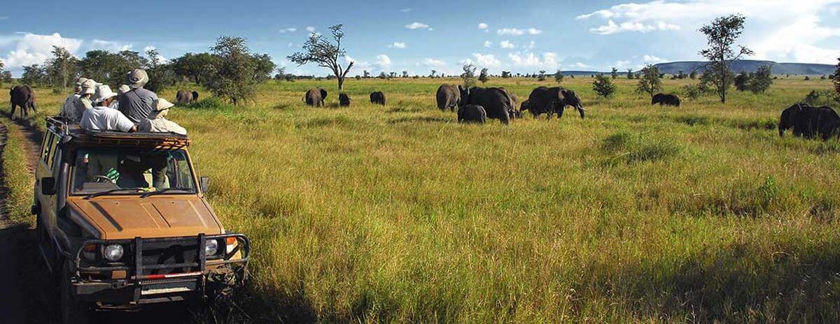 voyage en Afrique