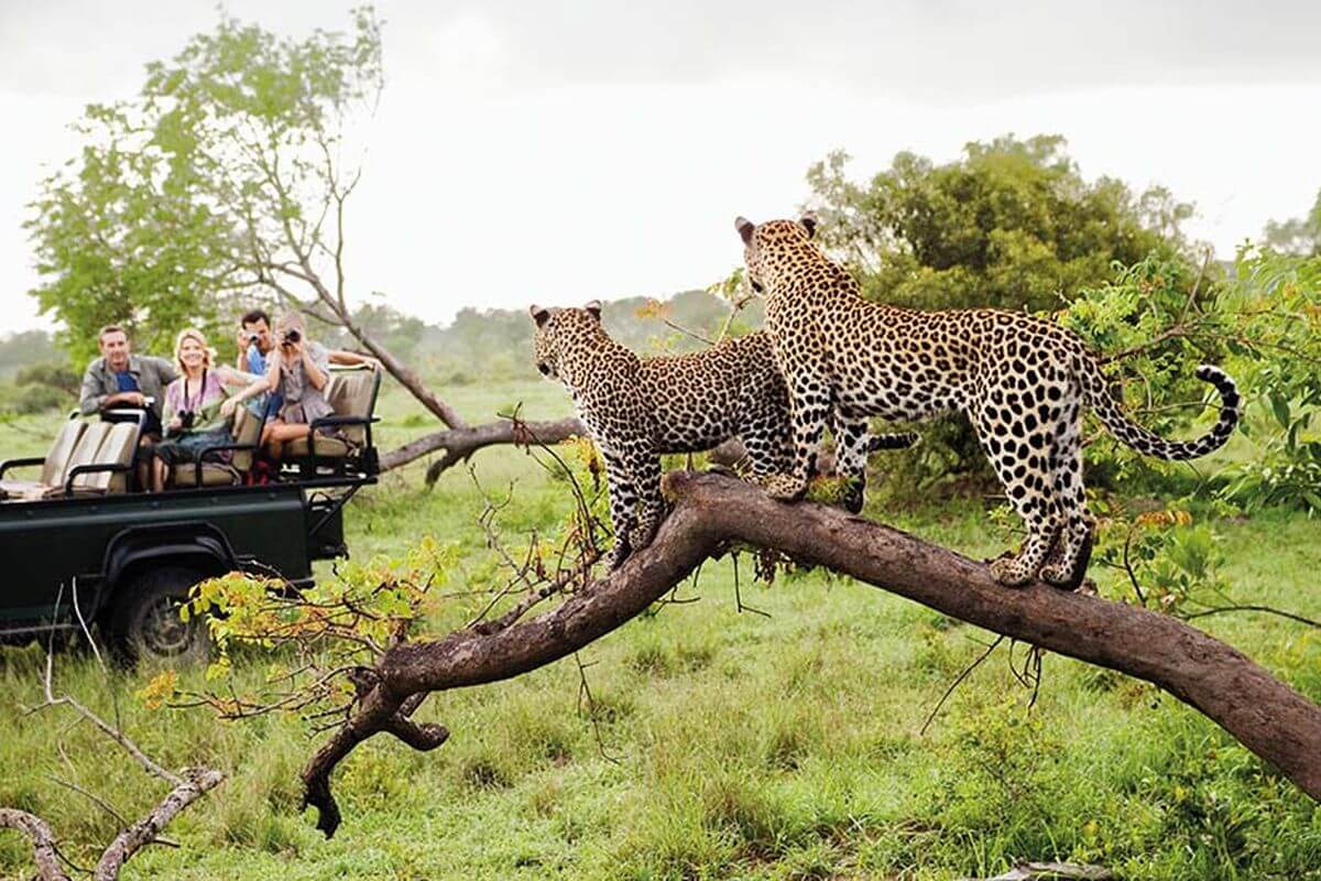voyage en Afrique
