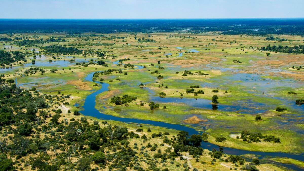 Delta de l'Okavango, Botswana