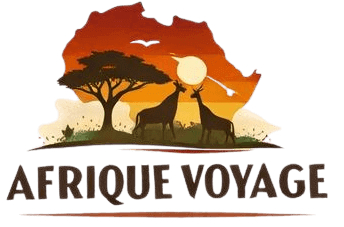 logo_afrique_voyage_2026